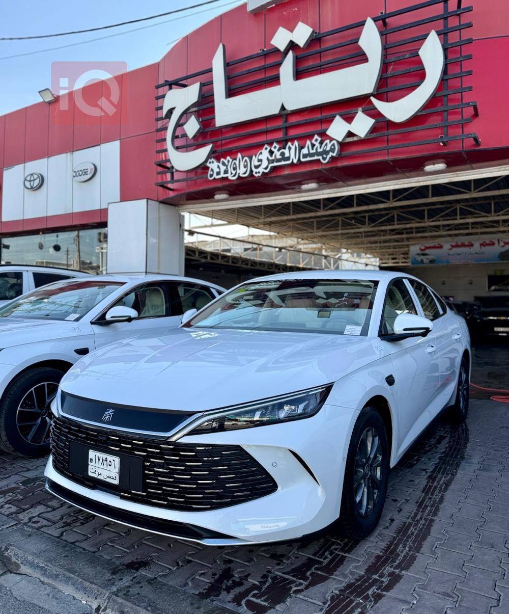 بی وای دی کوێن L DM-i